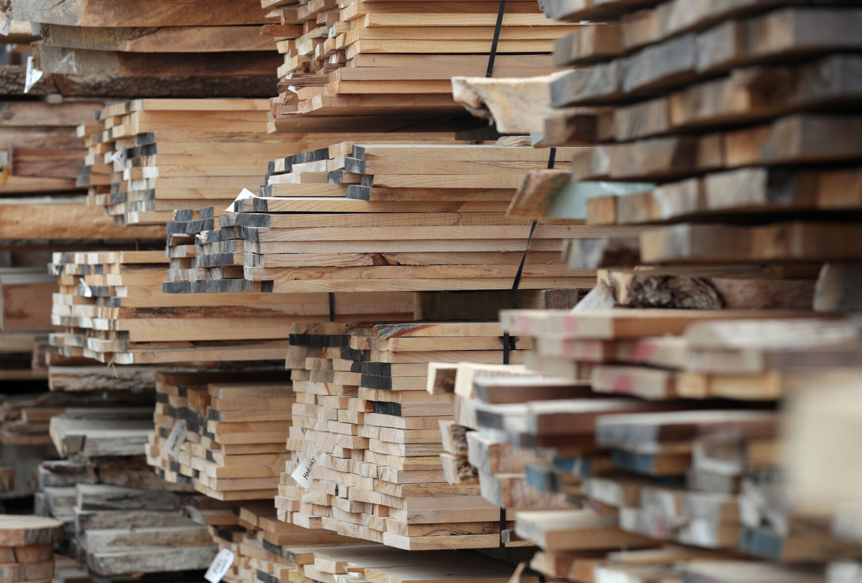 Urban wood